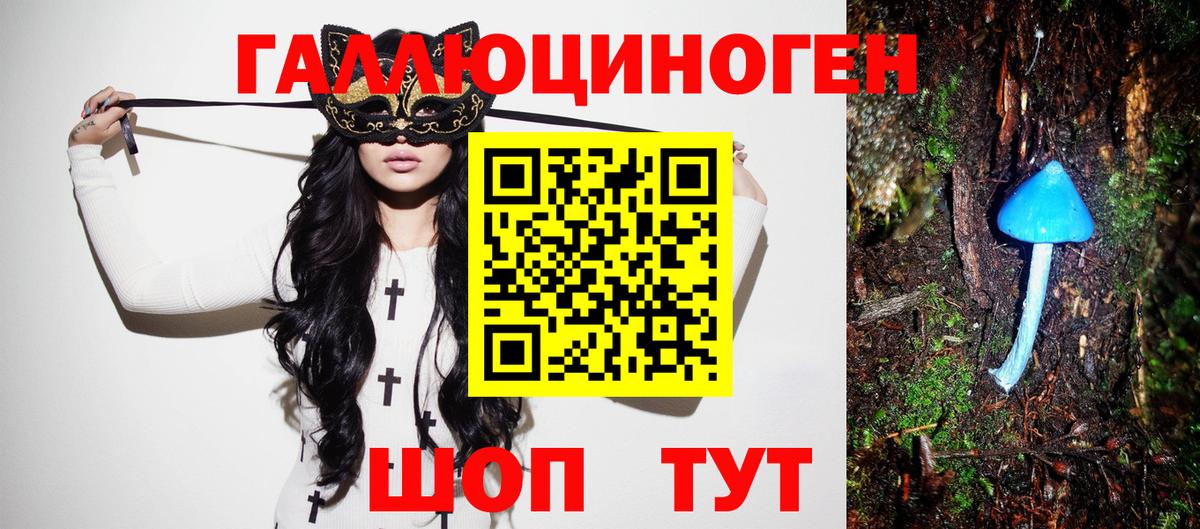 Галлюциногенные грибы Psilocybine cubensis  Вход с VPN  Кстово  Псилоцибиновые грибы Cubensis 