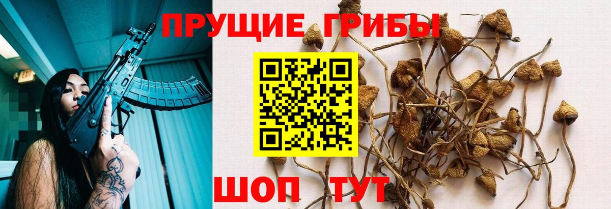 Галлюциногенные грибы ЛСД Кстово